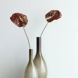 Aktion 🥰 Leonardo Vase BEAUTY 50 Cm Beige 🔥 6