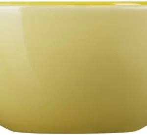 Coupon 🧨 Le Creuset Snackschale In Citrus 🧨 8